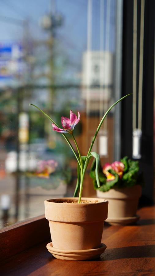 The Jeongga Hostel Jeonju Ngoại thất bức ảnh